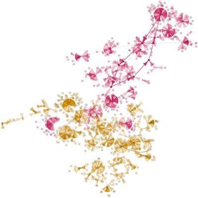 Boolean model of the gene regulatory network of Pseudomonas aeruginosa CCBH4851